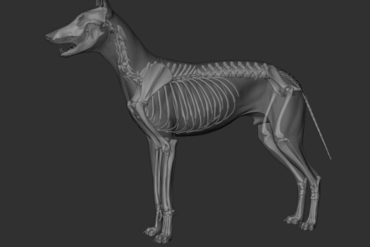 3dmax报培训班怎么样?